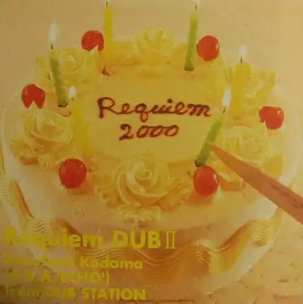 KAZUFUMI KODAMA (ʸ)  / REQUIEM DUB IIΥʥ쥳ɥ㥱å ()