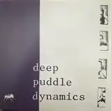 DEEP PUDDLE DYNAMICS ‎/ TASTE OF RAIN... WHY KNEEL