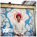 TORO Y MOI / WHAT FOR? (BLACK VINYL)