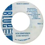 ECHO MINOTT ‎/ NEW DIMENSION