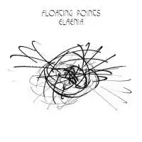 FLOATING POINTS / ELAENIAΥʥ쥳ɥ㥱å ()