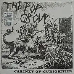 POP GROUP / CABINET OF CURIOSITIES (180G LP)Υʥ쥳ɥ㥱å ()