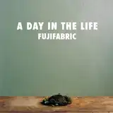 フジファブリック / A DAY IN THE LIFE