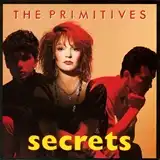 PRIMITIVES / SECRETS