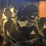 ゆらゆら帝国 / SWEET SPOT
