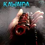 TOUDIE HEATH / KAWAIDA