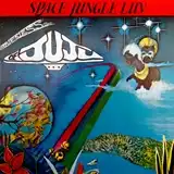 ONENESS OF JUJU ‎/ SPACE JUNGLE LUV