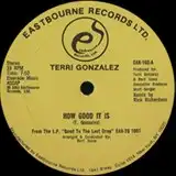 TERRI GONZALEZ /  HOW GOOD IT IS / CAUGHT UP (IN ONE NIGHT LOVE AFFAIRS)