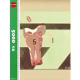 5000 / 赤線