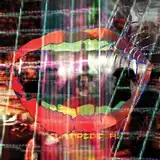 ANIMAL COLLECTIVE / CENTIPEDE HZΥʥ쥳ɥ㥱å ()