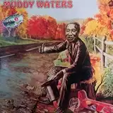 MUDDY WATERS / SAMEΥʥ쥳ɥ㥱å ()