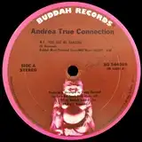 ANDREA TRUE CONNECTION / DON'T WANNA LOVE YOU AGAIN