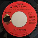 D. J. ROGERS / WHERE THERE'S A WILLΥʥ쥳ɥ㥱å ()