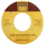 MARVIN GAYE ‎/ YOUR UNCHANGING LOVE