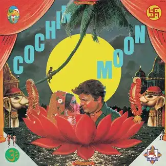 細野晴臣 / COCHIN MOON （再プレス）