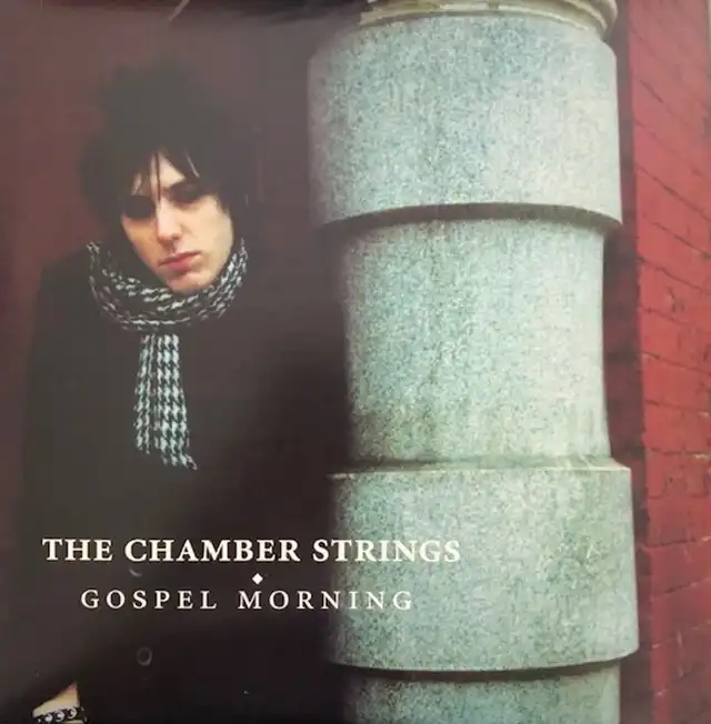 CHAMBER STRINGS / GOSPEL MORNINGΥʥ쥳ɥ㥱å ()