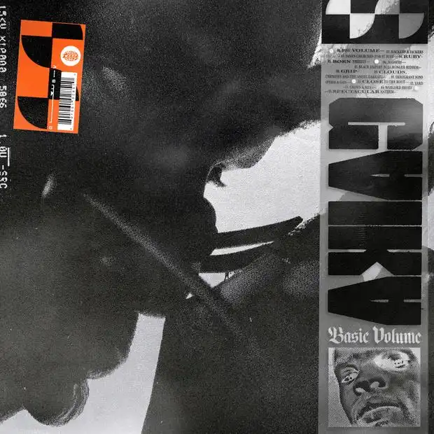 GAIKA / BASIC VOLUME