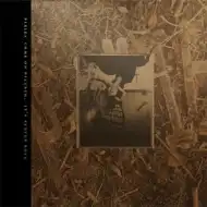 PIXIES / COME ON PILGRIM - IT'S SURFER ROSA (3LP)Υʥ쥳ɥ㥱å ()