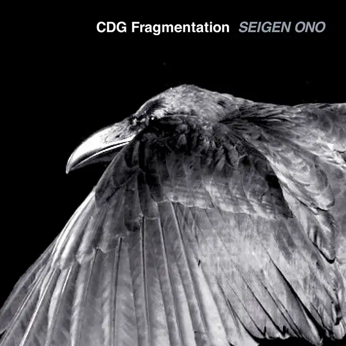 SEIGEN ONO / CDG FRAGMENTATION