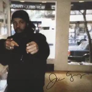 J DILLA / J DEE'S REVENGE ／ BIRTHRIGHT