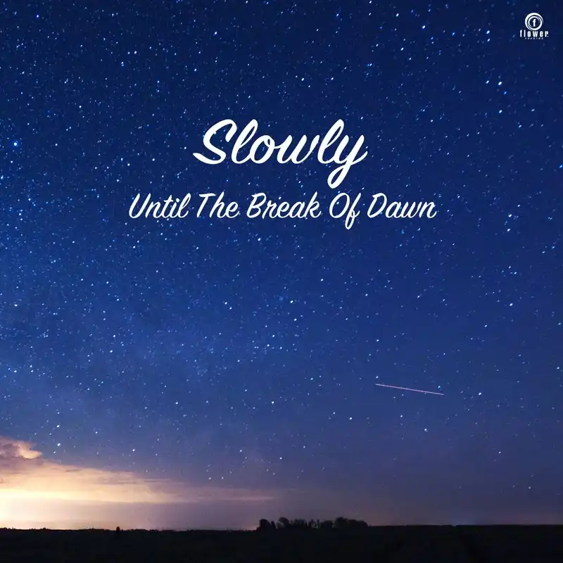 SLOWLY / UNTIL THE BREAK OF DAWNΥʥ쥳ɥ㥱å ()