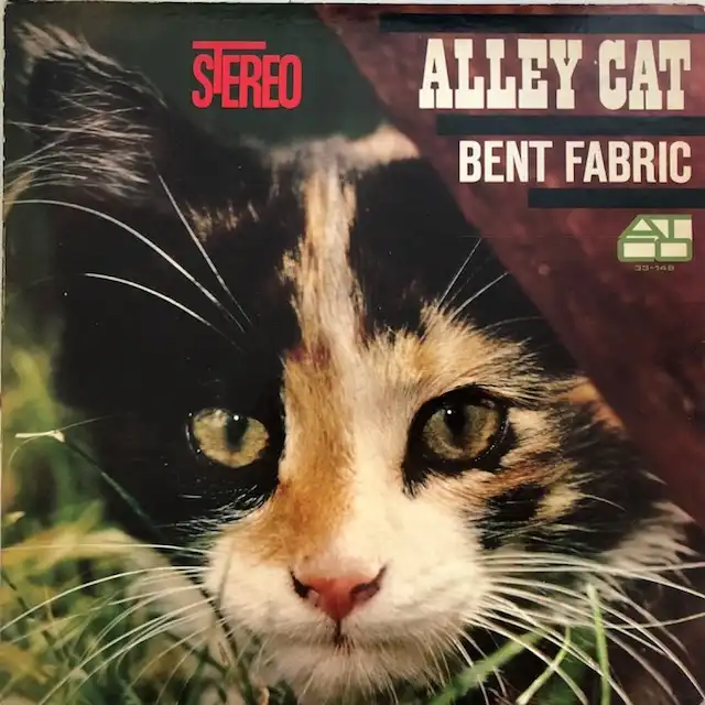 BENT FABRIC / ALLEY CATΥʥ쥳ɥ㥱å ()