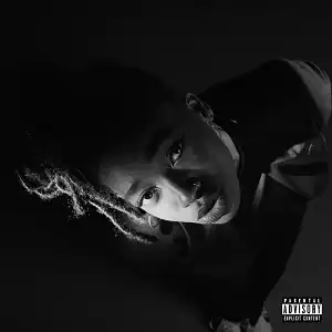 LITTLE SIMZ / GREAY AREA