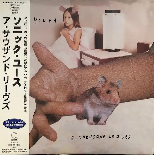 SONIC YOUTH / A THOUSAND LEAVESΥʥ쥳ɥ㥱å ()