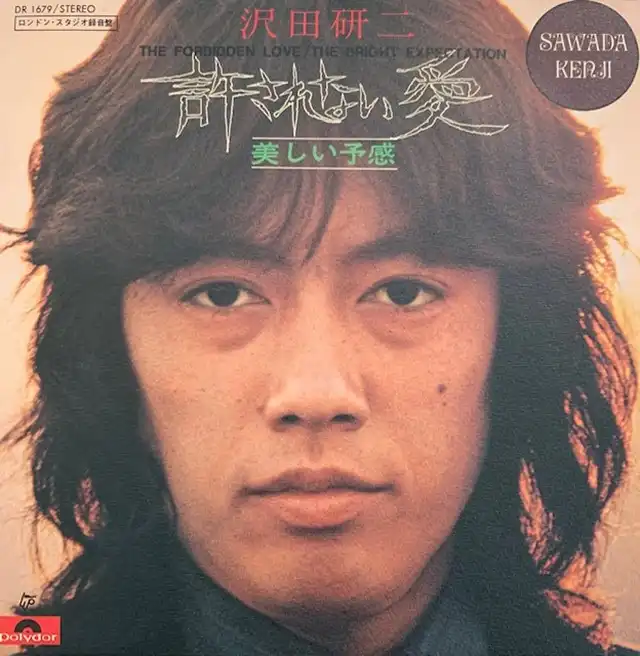 沢田研二 許されない愛 [7inch ]：JAPANESE：アナログレコード専門通販のSTEREO RECORDS