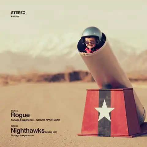 SUNAGA T EXPERIENCE / ROGUE  NIGHTHAWKSΥʥ쥳ɥ㥱å ()