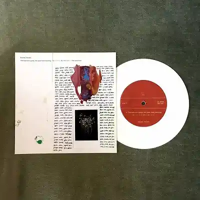 Kotoko Tanaka / THE HOLE AS A POND THE EYES FROM MORNING (池としての穴 朝より来たる目) / THE VOID FIRES