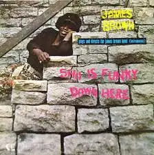 JAMES BROWN / SHO IS FUNKY DOWN HERE