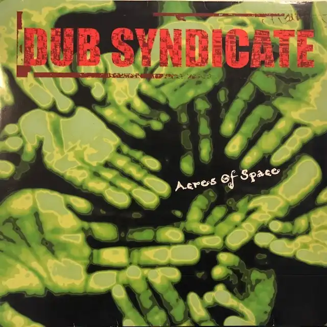 DUB SYNDICATE / ACRES OF SPACE