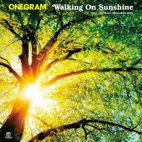 ONEGRAM / WALKING ON SUNSHINEΥʥ쥳ɥ㥱å ()
