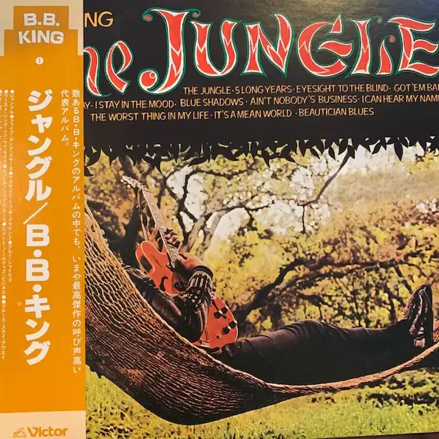 B.B. KING / JUNGLE