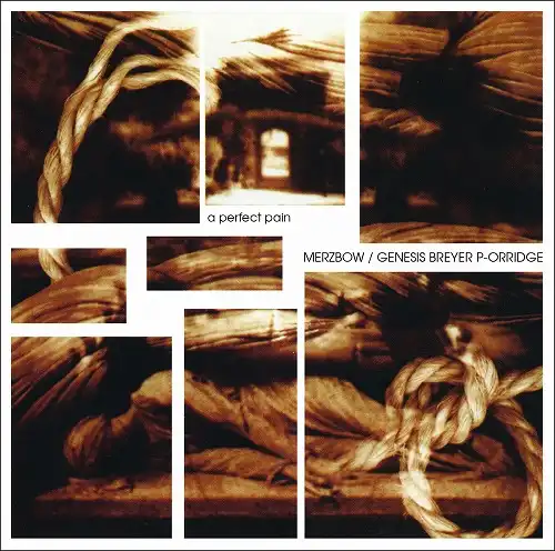 MERZBOW ／ GENESIS BREYER P-ORRIDGE / A PERFECT PAIN