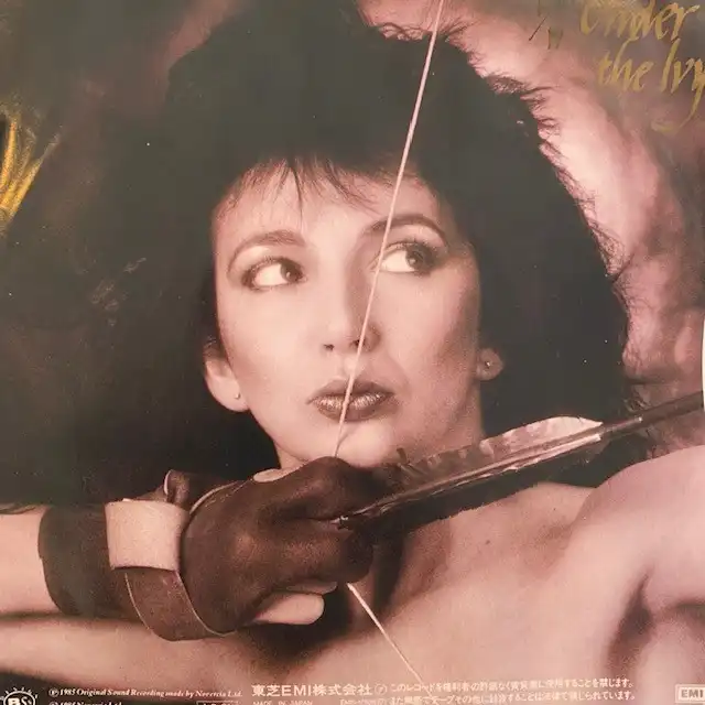 KATE BUSH / RUNNNING UP THAT HILLΥʥ쥳ɥ㥱å ()