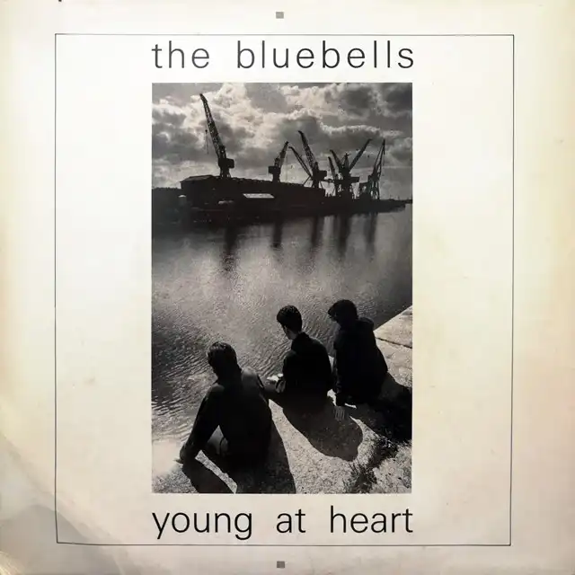 BLUEBELLS ‎/ YOUNG AT HEART
