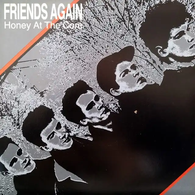 FRIENDS AGAIN ‎/ HONEY AT THE CORE