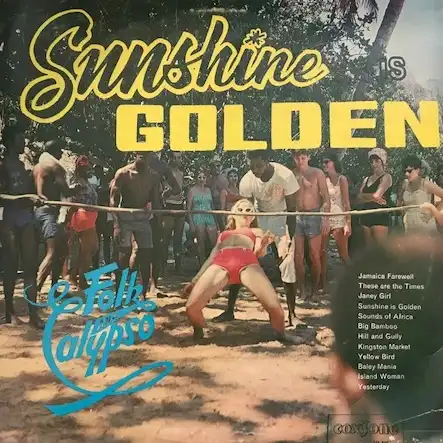 GAYLADS ‎/ SUNSHINE IS GOLDEN