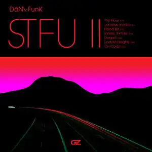 DAM-FUNK / STFU II