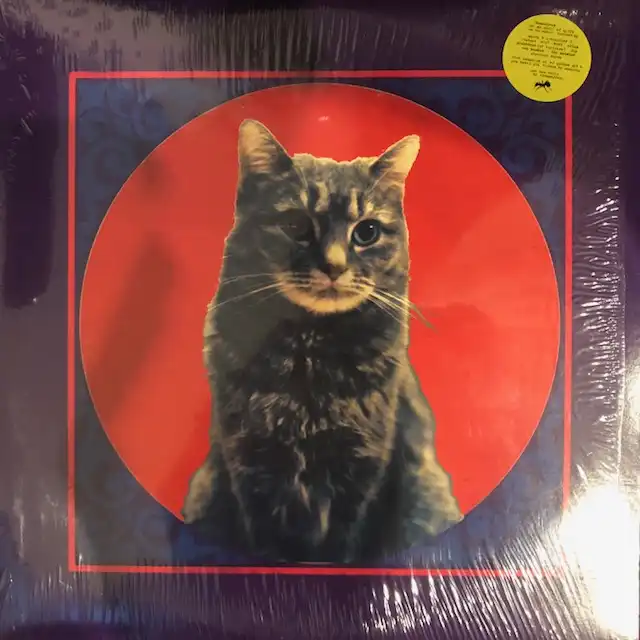 THEMSELVES / NO MUSIC OF AIFF’S...THE NO MUSIC. REMIXED
