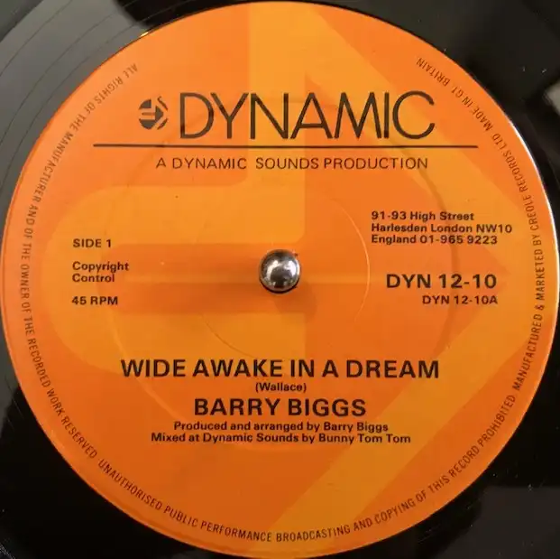 BARRY BIGGS / WIDE AWAKE IN A DREAM