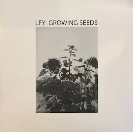 LFY / GROWING SEEDSΥʥ쥳ɥ㥱å ()