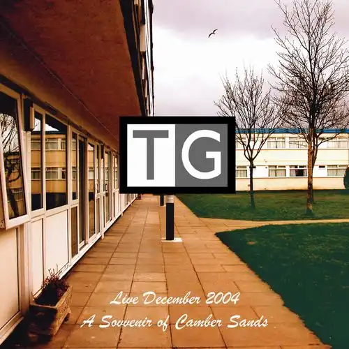 THROBBING GRISTLE / A SOUVENIR OF CAMBER SANDS