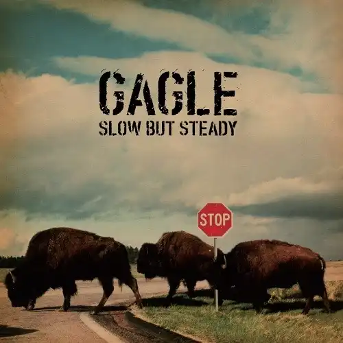 GAGLE / SLOW BUT STEADYΥʥ쥳ɥ㥱å ()