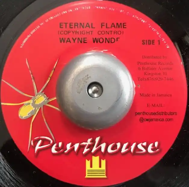 WAYNE WONDER ‎/ ETERNAL FLAME