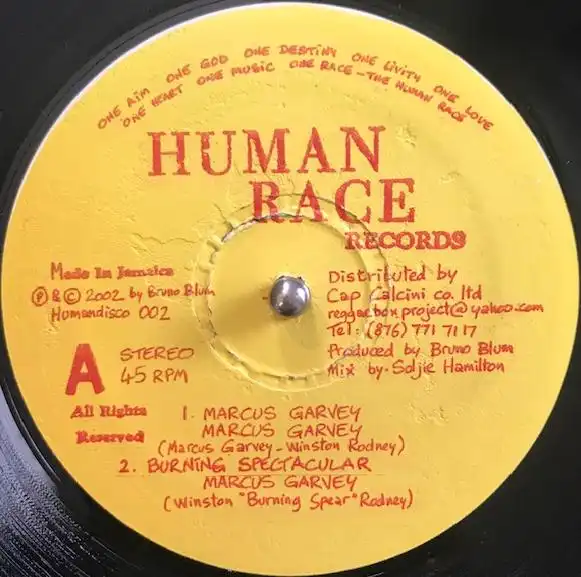 MARCUS GARVEY ／ BURNING SPECTACULA ／ BIG YOUTH / MARCUS GARVEY