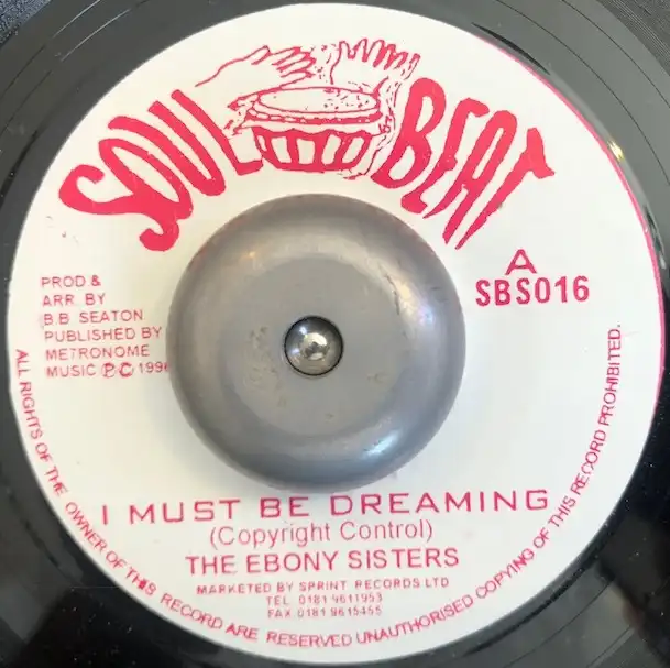 EBONY SISTERS  CONSCIOUS MINDS ‎/ I MUST BE DREAMING  SOMETHING NEW