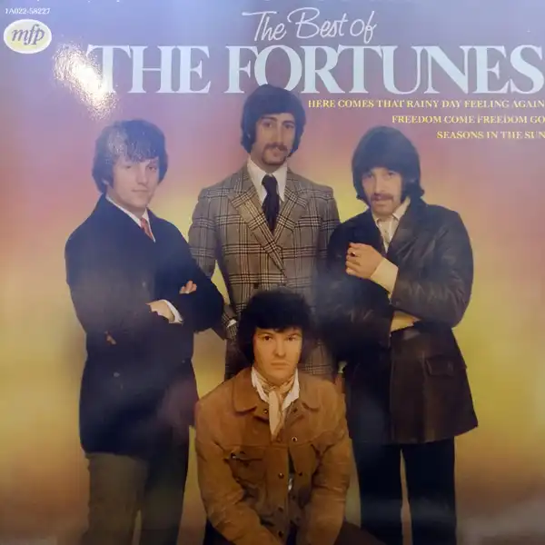 FORTUNES ‎/ BEST OF FORTUNESΥʥ쥳ɥ㥱å ()